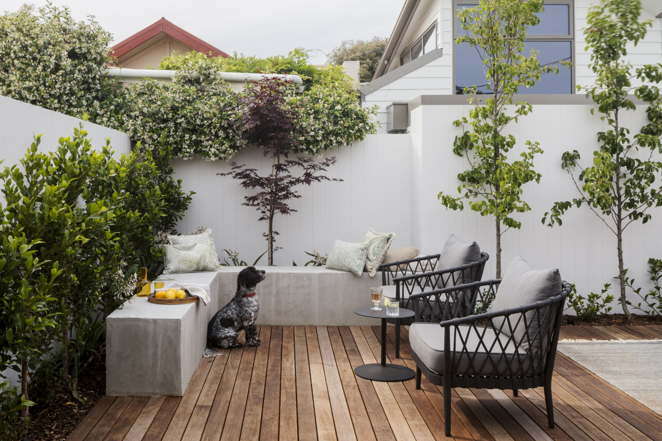 Garden with concrete benchseat