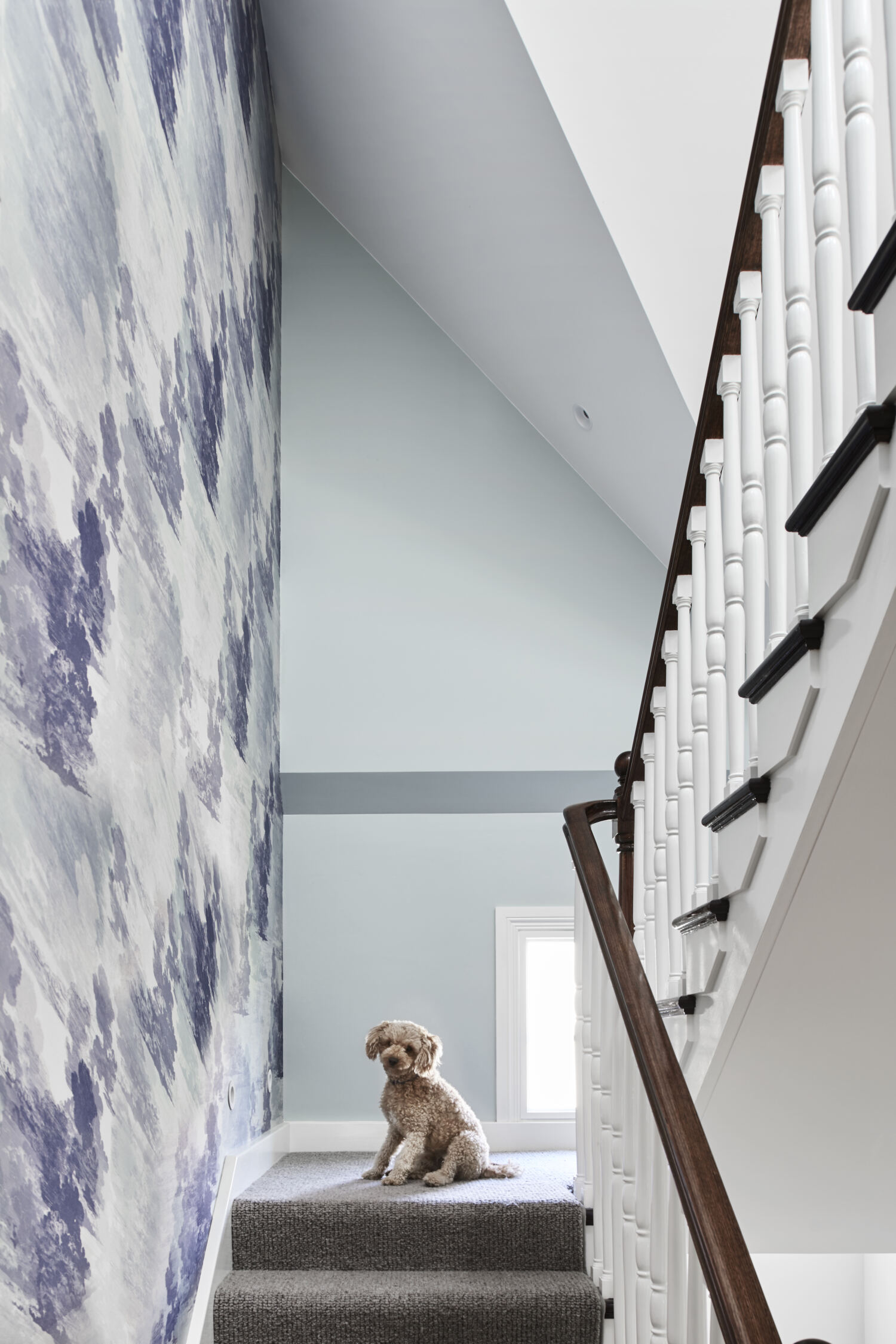 Luxury Home Construction Toorak